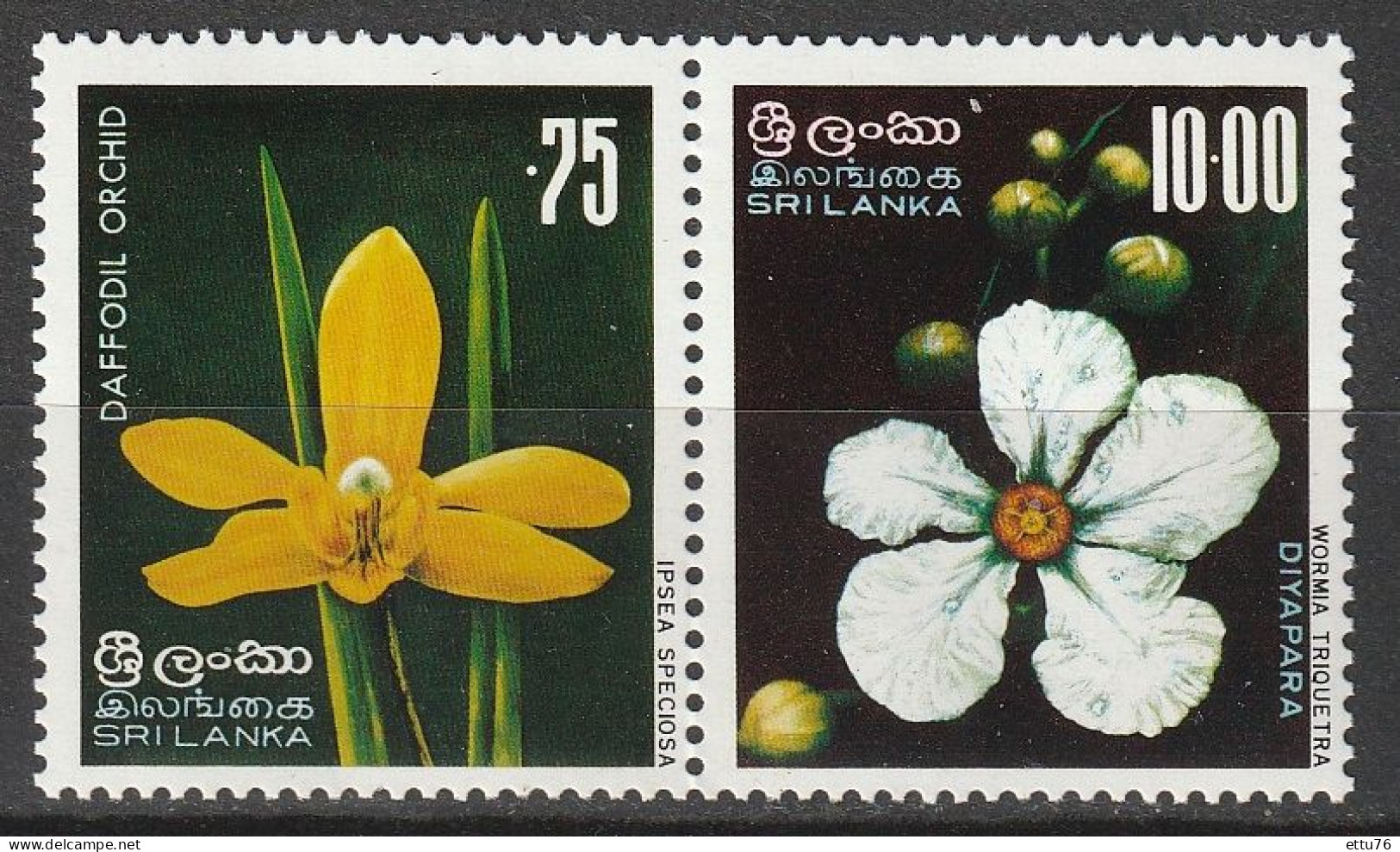 Sri Lanka  1976  Flowers  MNH - Sonstige & Ohne Zuordnung