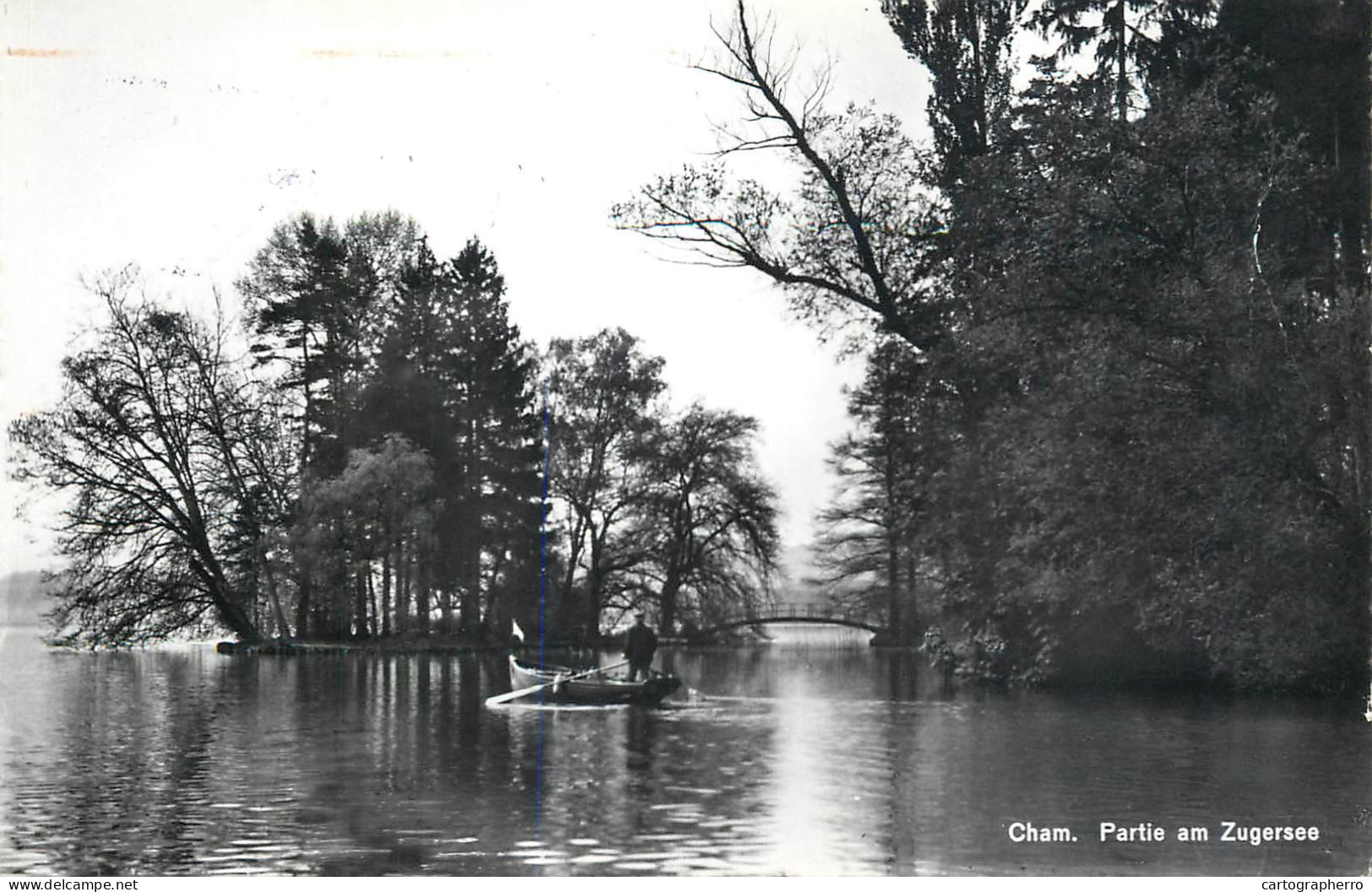 Postcard Switzerland Cham Partie Am Zugersee - Sonstige & Ohne Zuordnung