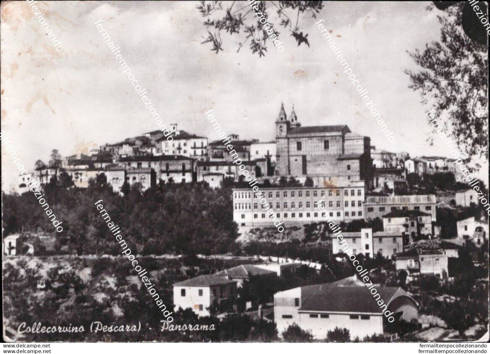 Aq613  Cartolina Collecorvino Panorama Provincia Di Pecara Abruzzo - Pescara