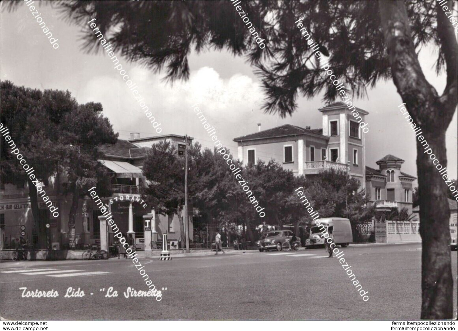 Aq577 Cartolina Tortoreto Lido Ristorante La Sirenetta Provincia Di Teramo - Teramo