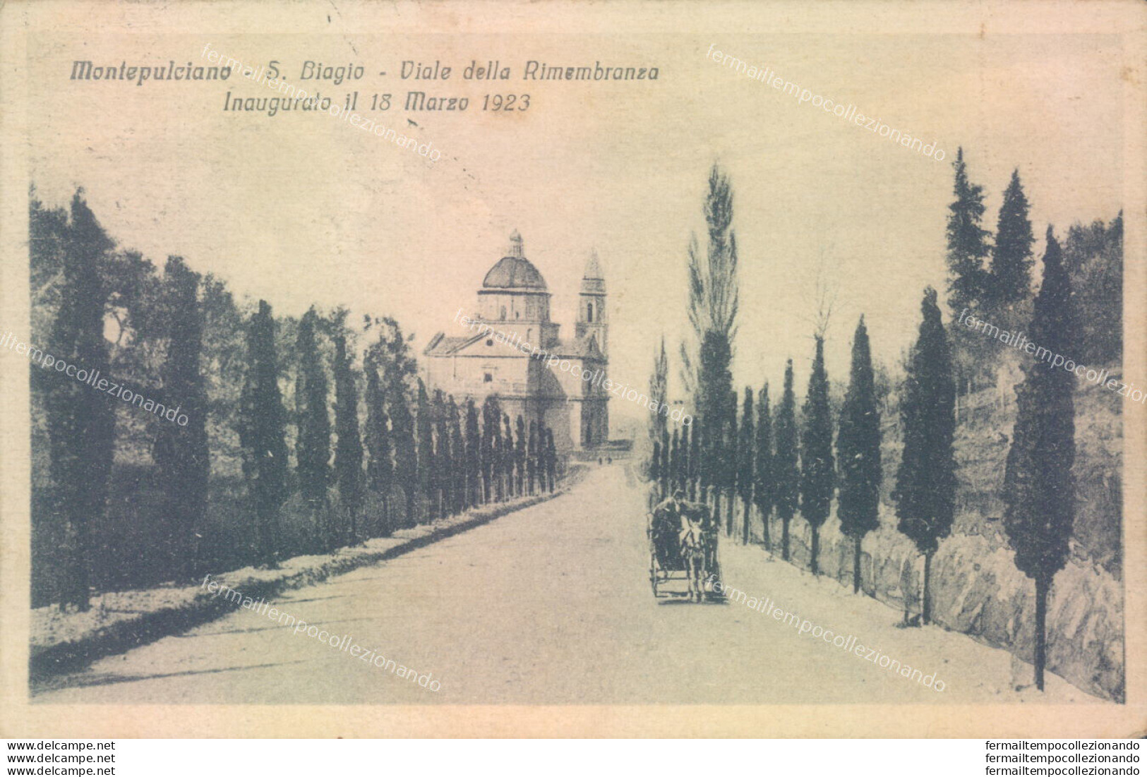 Z285 Cartolina Montepulciano S.biagio Viale Della Rimembranza 1924 - Siena