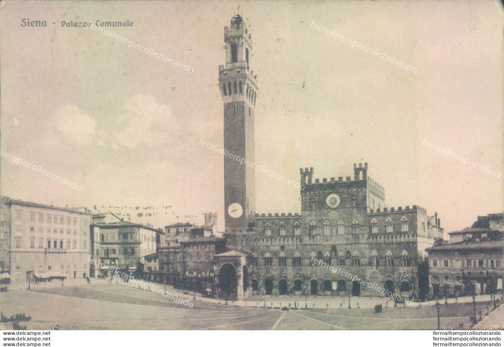 Z178 Cartolina Siena Citta' Palazzo Comunale 1924 - Siena