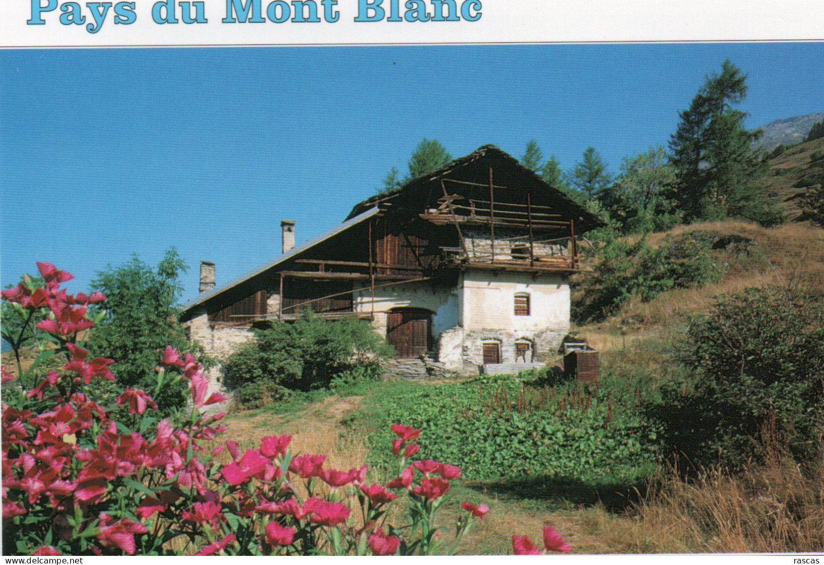 CPM - P - HAUTE SAVOIE - PAYS DU MONT BLANC - A SITUER - Other & Unclassified