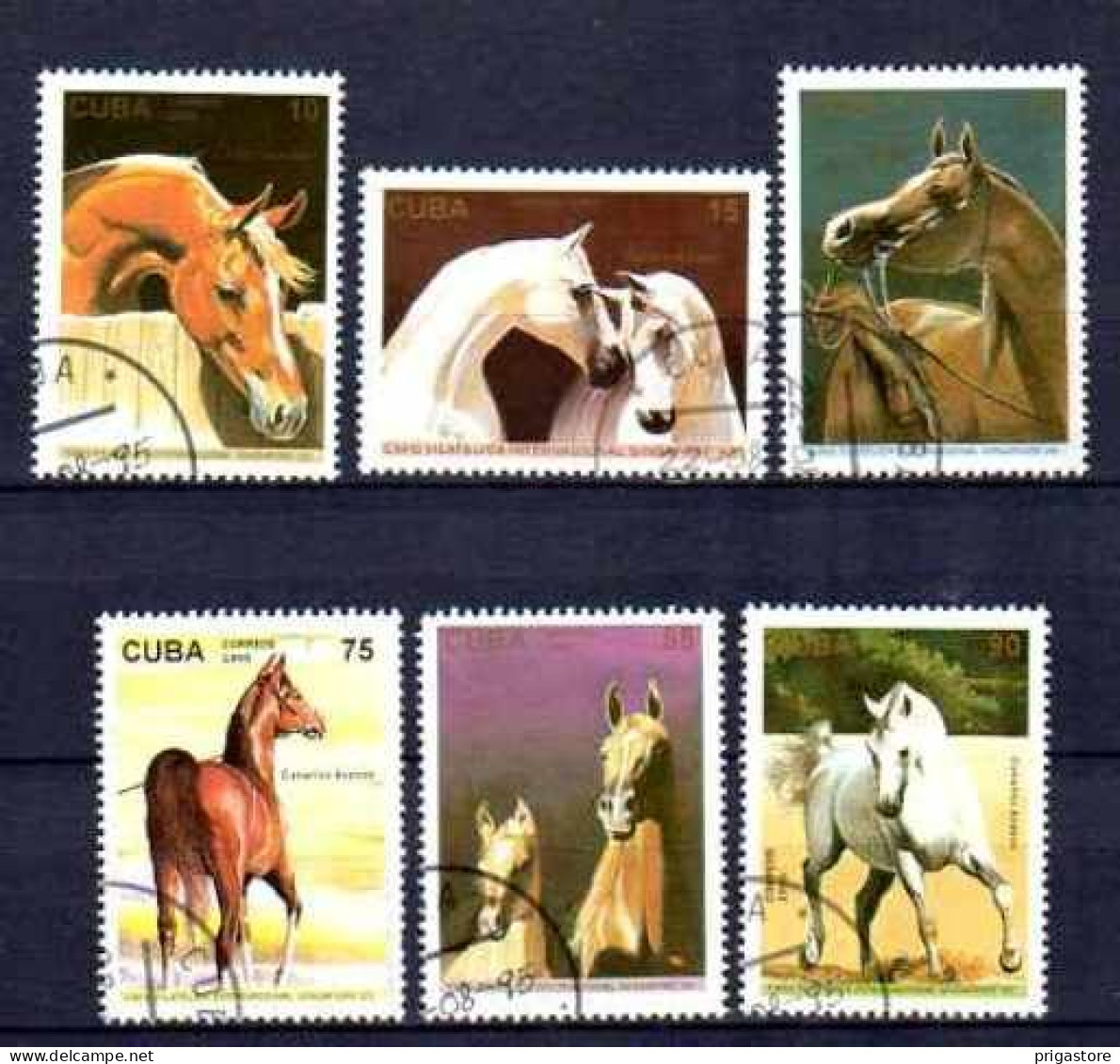 Cuba 1995 Chevaux (5) Yvert N° 3455 à 3460 Oblitéré Used - Gebraucht