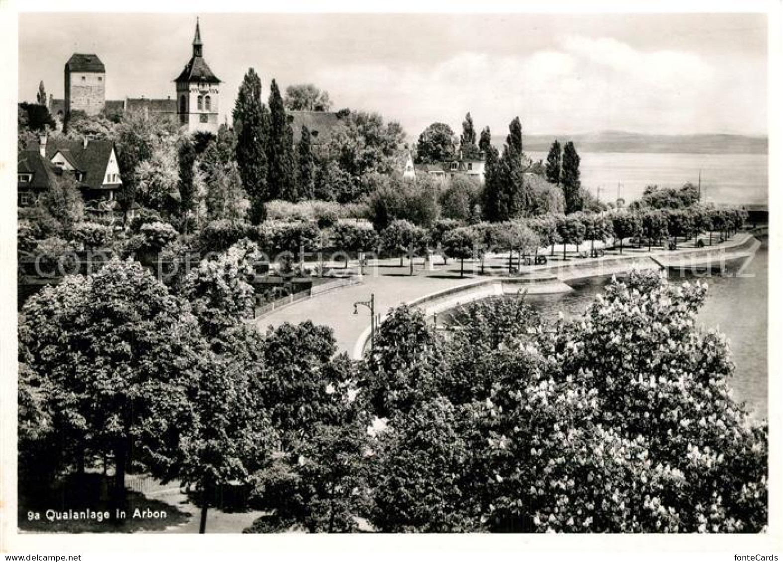 13374913 Arbon  TG Quaianlage   - Sonstige & Ohne Zuordnung