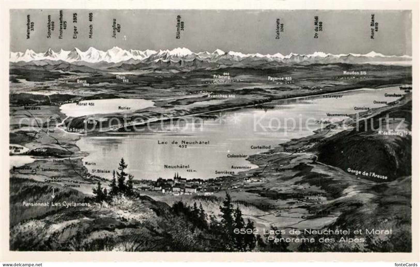 13372823 Neuchatel NE Lac De Neuchatel Et Morat Panorama Des Alpes Kuenstlerkart - Andere & Zonder Classificatie