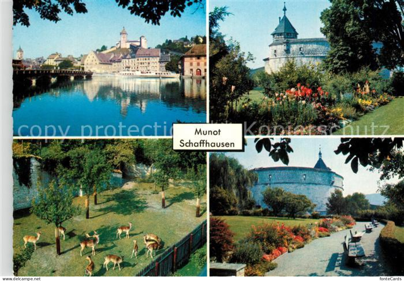 13358838 Schaffhausen SH Schloss Wildpark Seepartie Schaffhausen SH - Andere & Zonder Classificatie