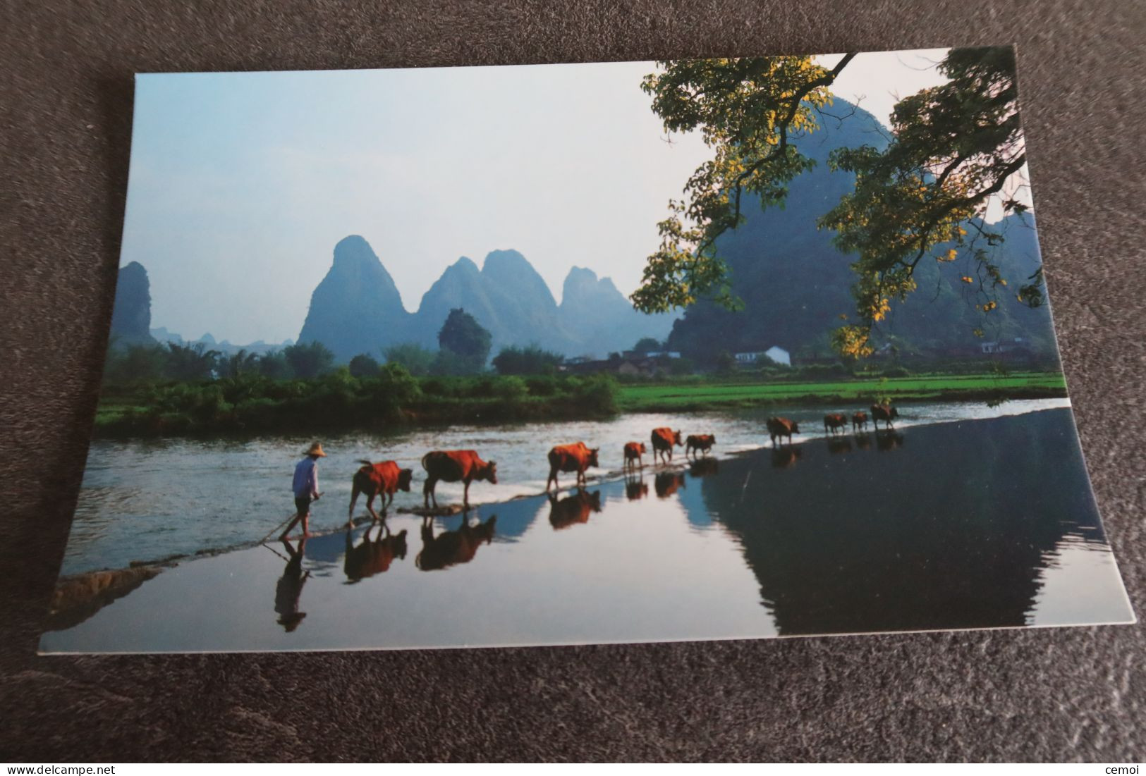 Lot De 2 CP De CHINE - Fisherman Over Lijiang River & Homeward Bound From The Pasture - Cina