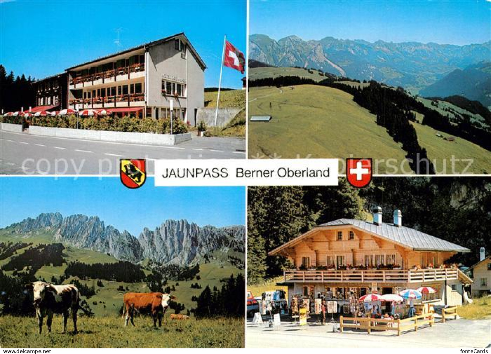 13355338 Jaunpass Hotel Des Alpes Gastlosen Simmental Kiosk Bazar Jaunpass - Autres & Non Classés