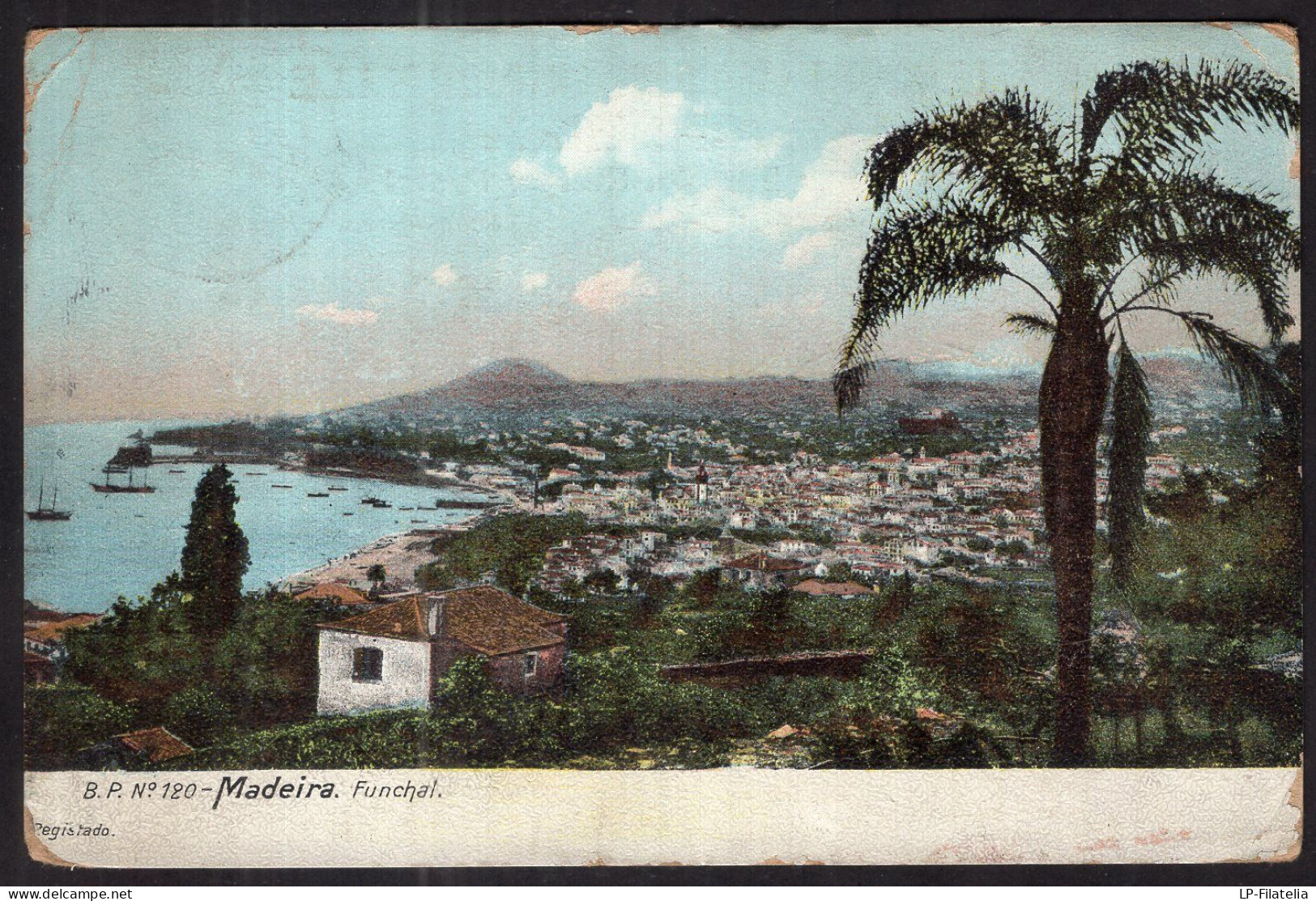 Portugal - 1907 - Madeira - Funchal - Madeira