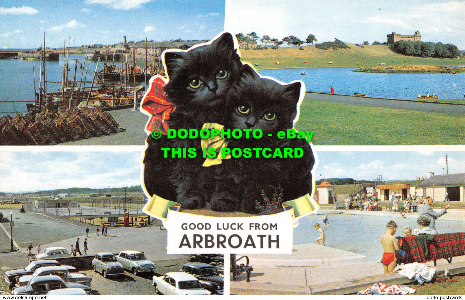 R521785 Good Luck From Arbroath. PLC34521. Multi View - Monde