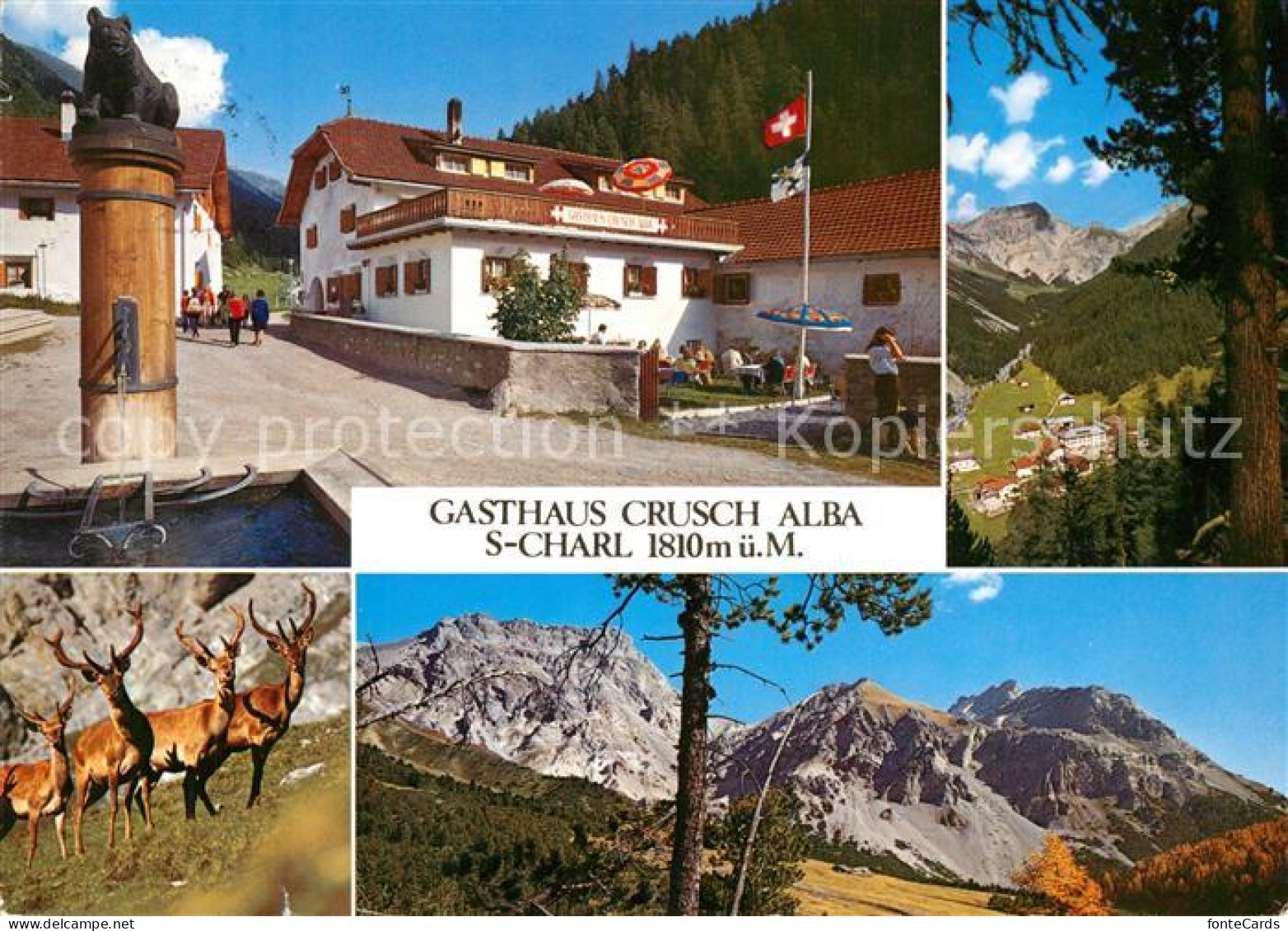 13339900 S Charl Gasthaus Pension Crusch Alba Landschaftspanorama Alpen Wild S C - Other & Unclassified