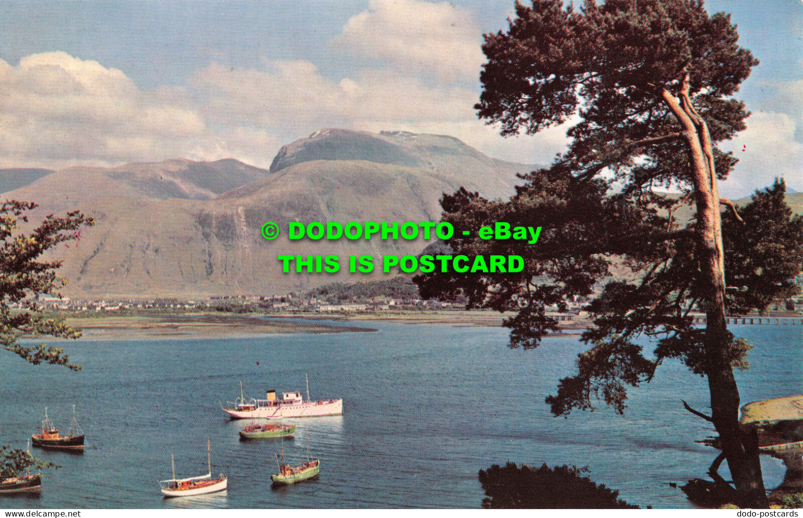 R521842 Fort William And Ben Nevis From Across Loch Linnhe. PT36214 - Monde
