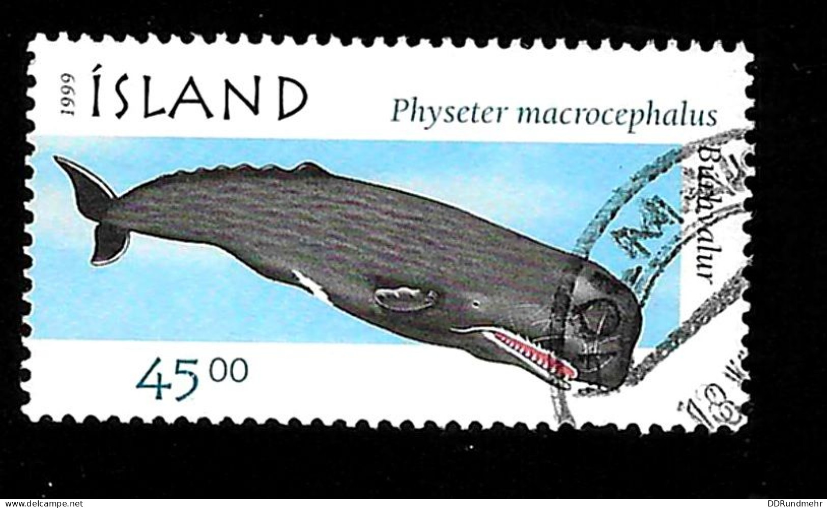 1999 Sperm Whale  Michel IS 906 Stamp Number IS 874 Yvert Et Tellier IS 859 Stanley Gibbons IS 916 Used - Usati