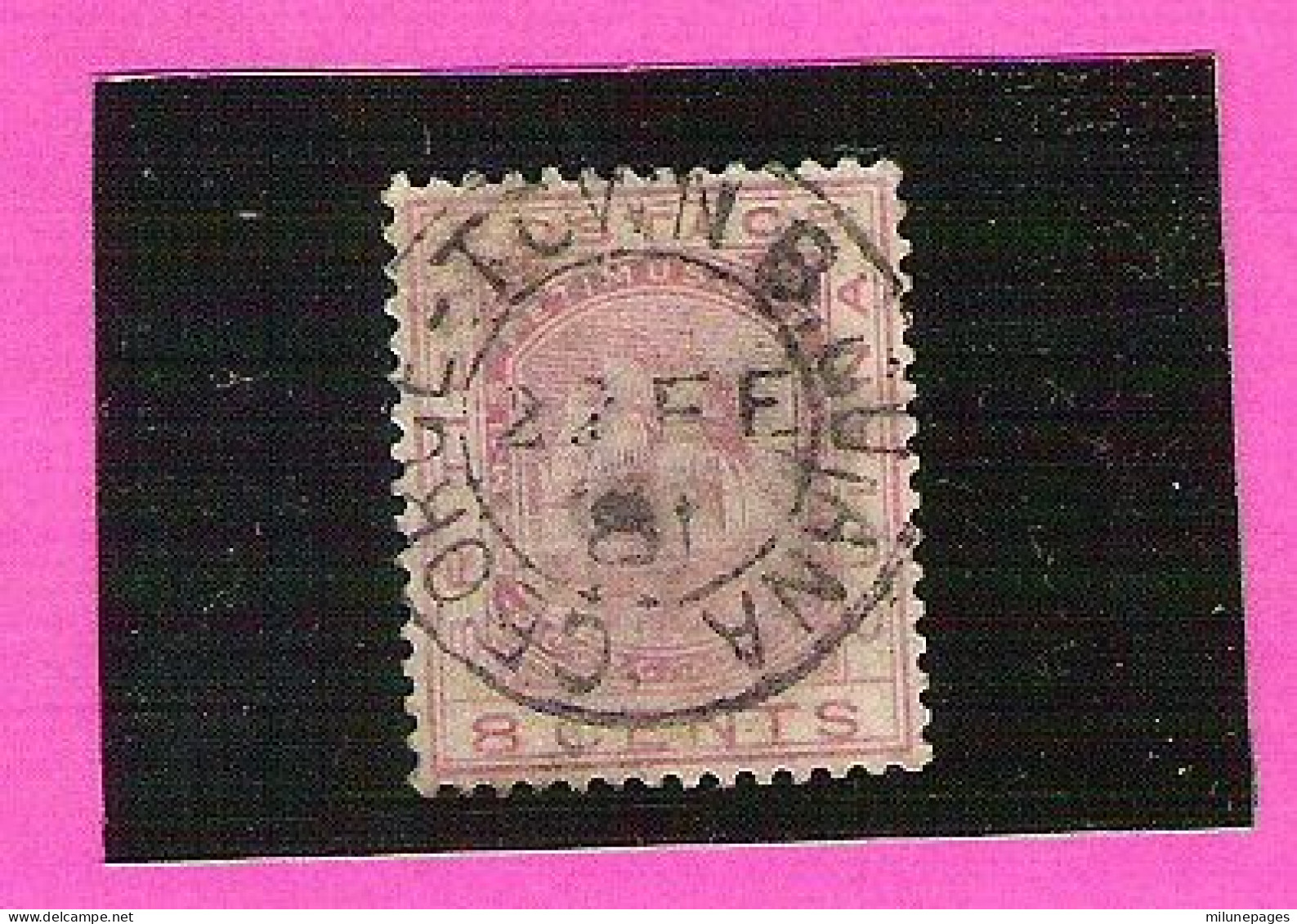 Guiana Guyane Britannique Armoiries Frégatte 8 Cent Violet-rose Yvert 37 Canceled George-Town 1881 - Guayana Británica (...-1966)