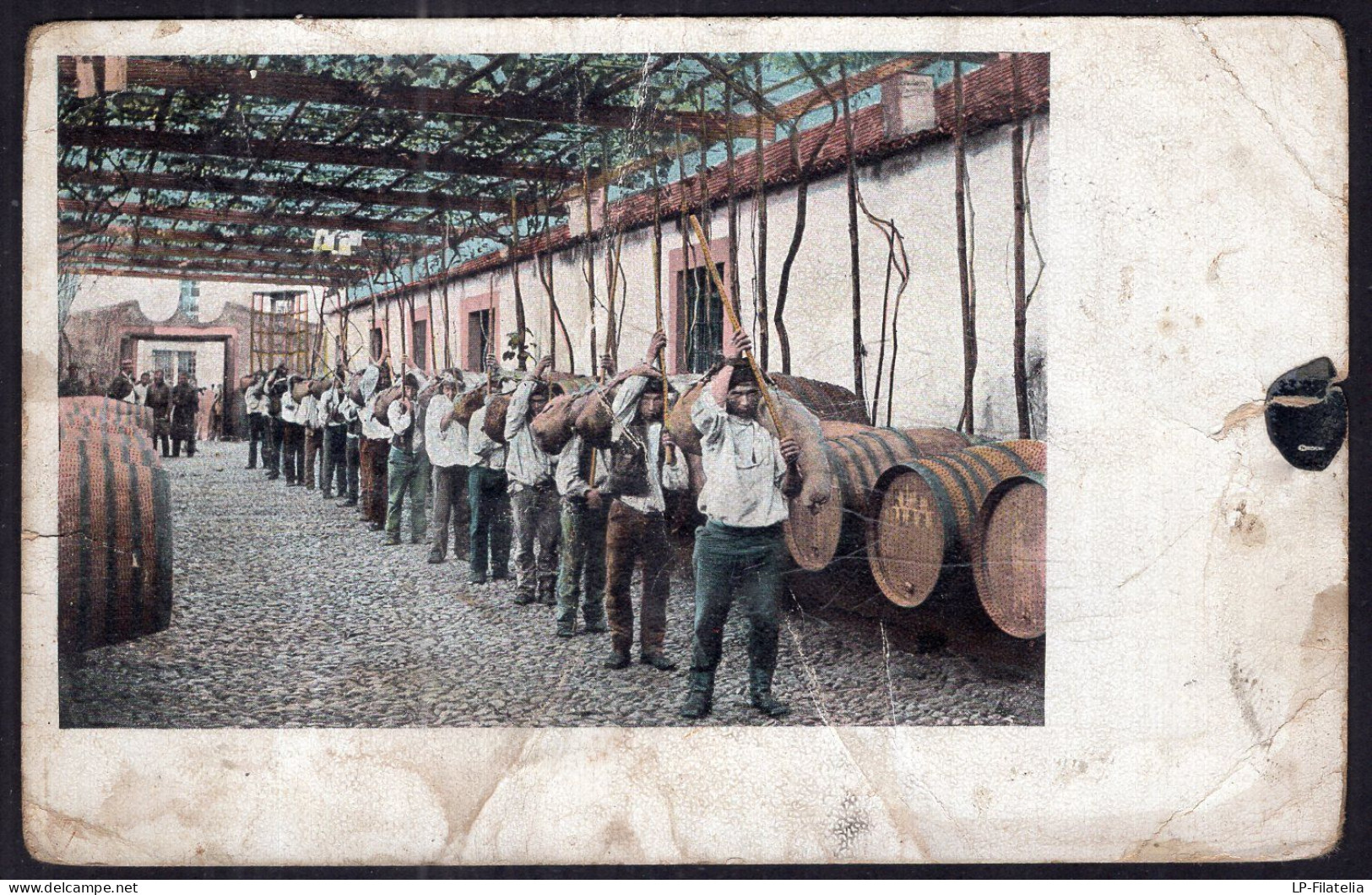 Portugal - Circa 1920 - Madeira - Vineyard Workers - Hommes