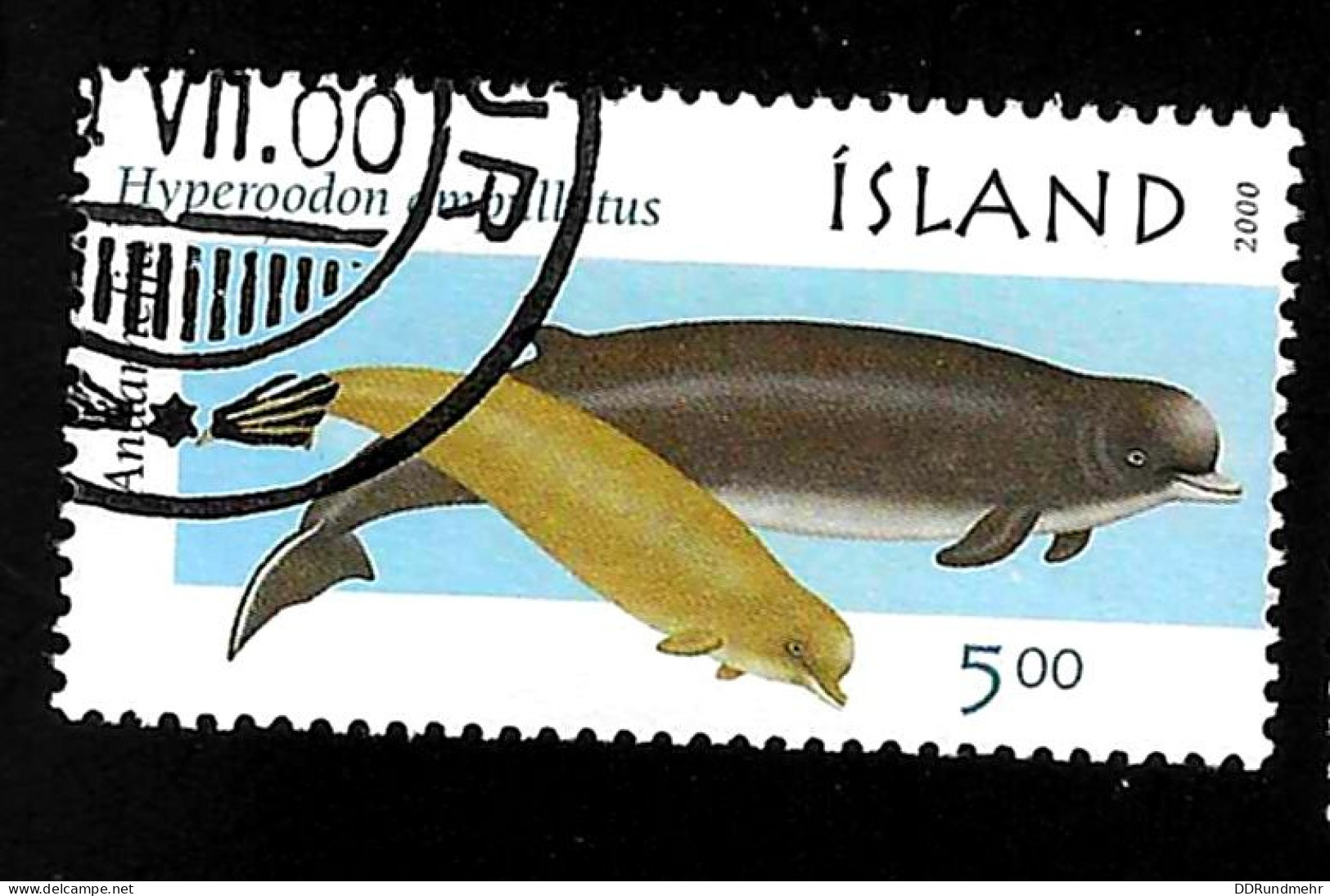 2000 Whales  Michel IS 954 Stamp Number IS 911 Yvert Et Tellier IS 891 Stanley Gibbons IS 966 Used - Gebruikt