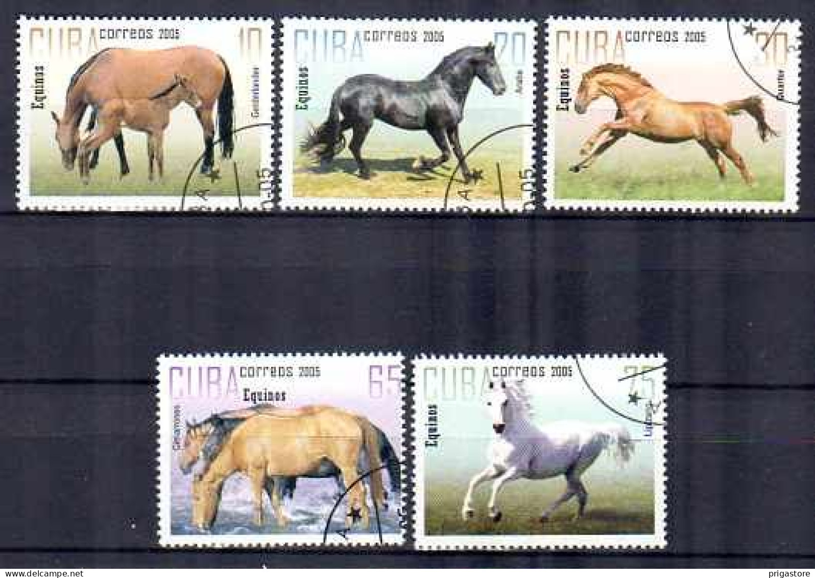 Chevaux Cuba 2005 (9) Yvert N° 4291 à 4295 Oblitérés Used - Caballos