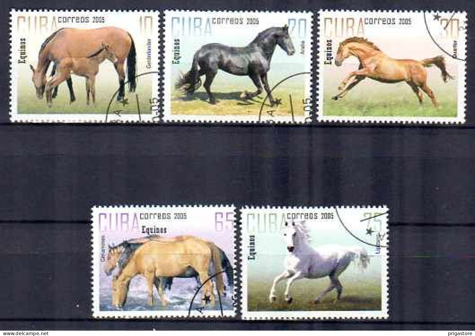Cuba 2005 Chevaux (9) Yvert N° 4291 à 4295 Oblitérés Used - Used Stamps