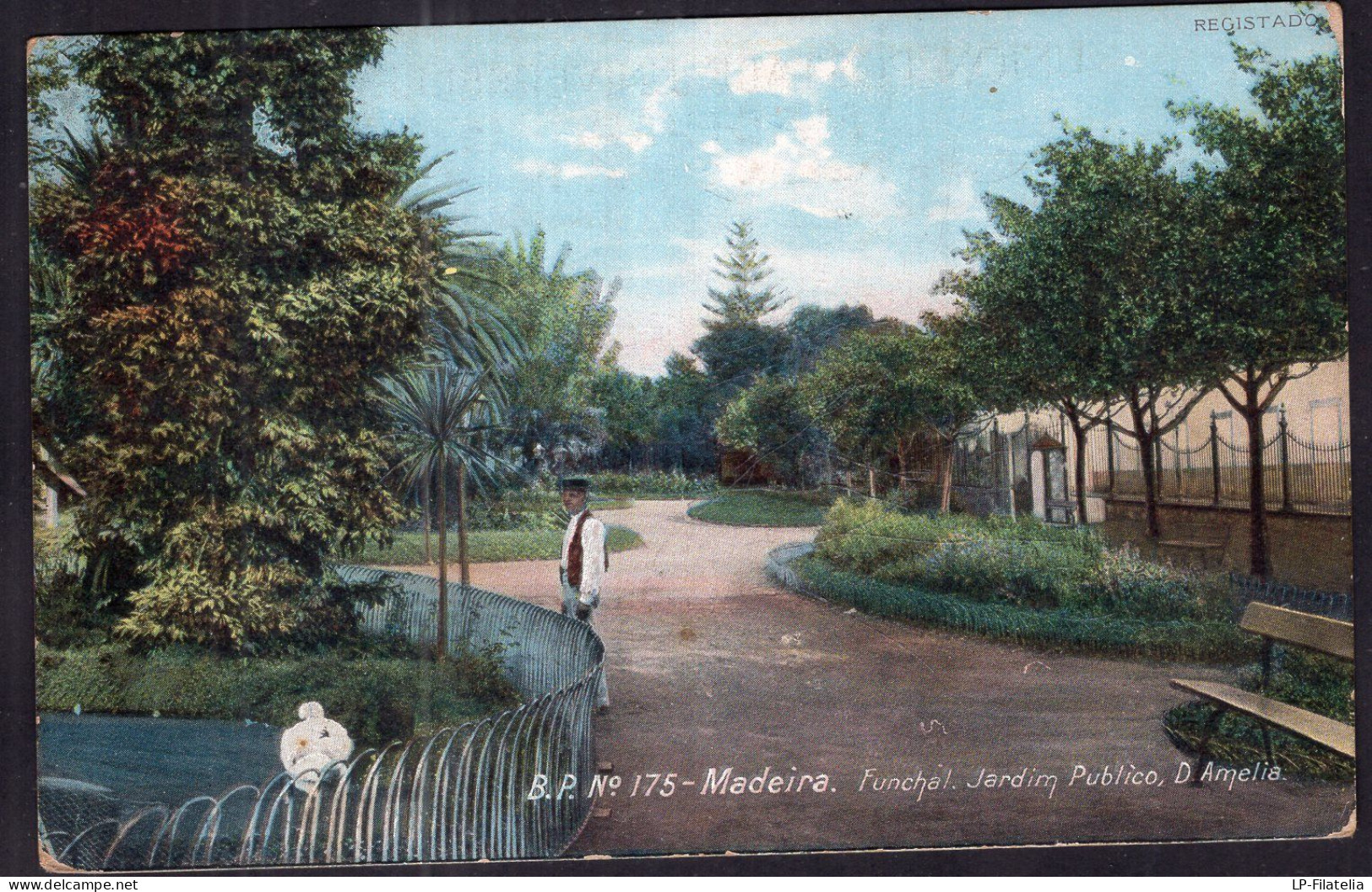 Portugal - Circa 1910 - Madeira - Funchal - Jardim Publico - Madeira