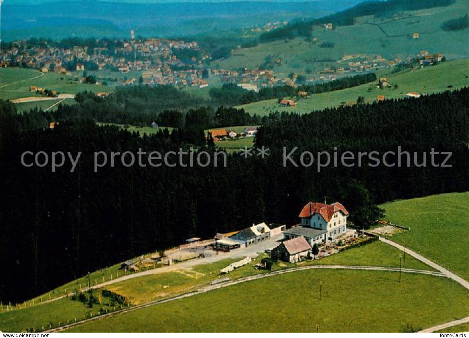 13326261 Wald AR Vorderland Fliegeraufnahme Mit Alpengasthaus Tanne  - Autres & Non Classés