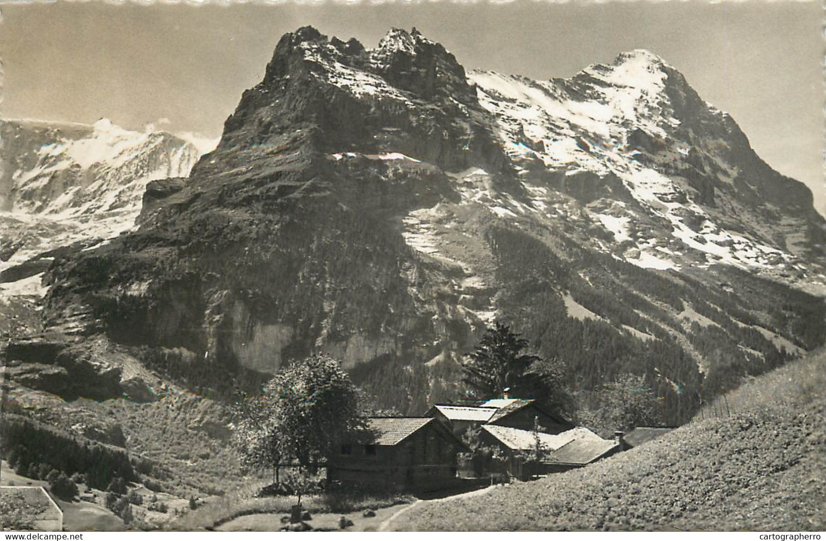 Postcard Switzerland Grindelwald Fiescherhorner Hornly Eiger - Autres & Non Classés