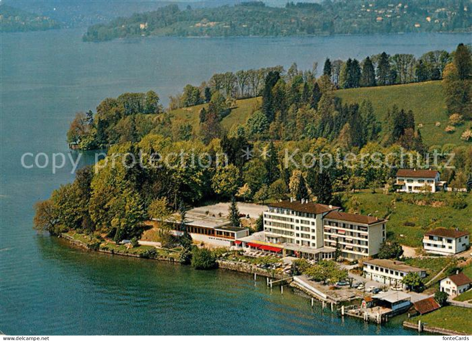 13320840 Hertenstein LU Hotel Fliegeraufnahme Hertenstein LU - Sonstige & Ohne Zuordnung