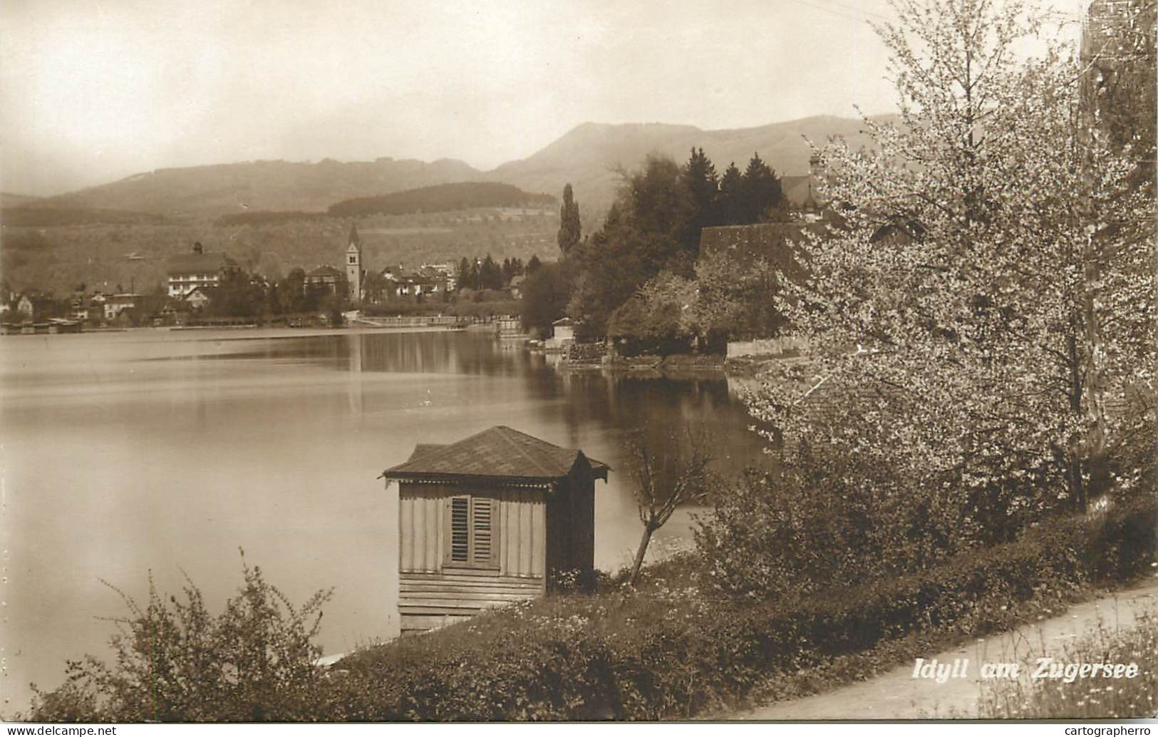 Postcard Switzerland Idyll Am Zugersee - Sonstige & Ohne Zuordnung