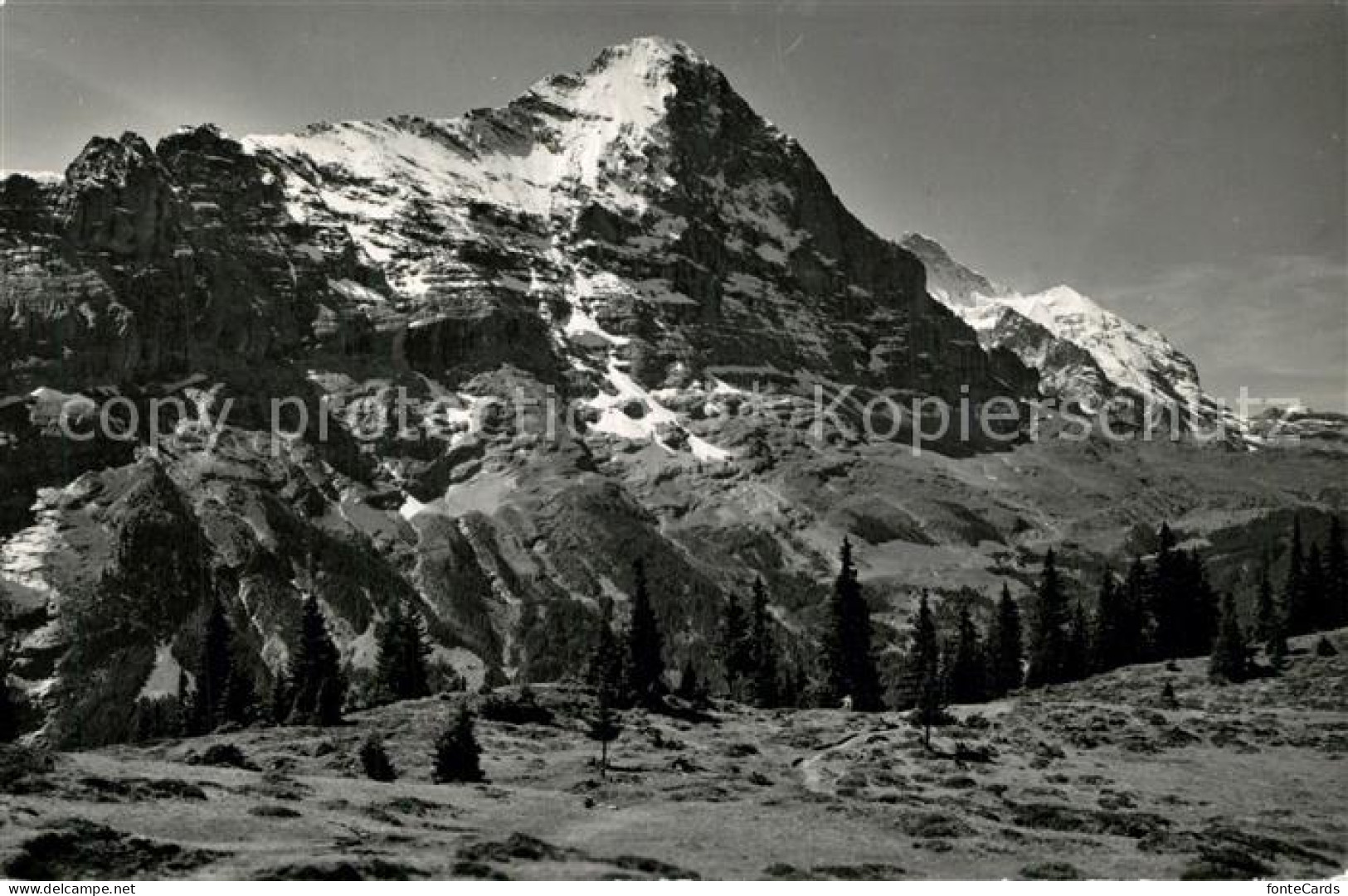 13316618 Grindelwald Eiger Jungfrau Bussalp Grindelwald - Autres & Non Classés