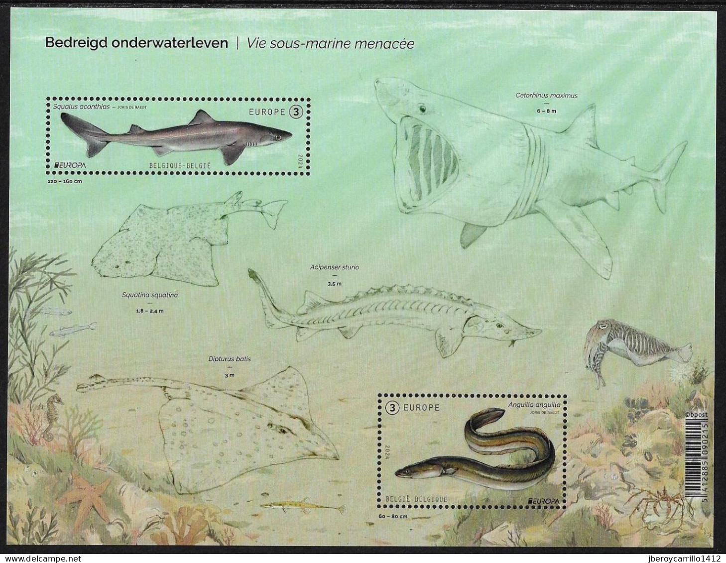 BÉLGICA /BELGIUM /BELGIQUE /BELGIEN /BELGIË - EUROPA 2024 -"UNDERWATER FLORA And FAUNA".-  SOUVENIR SHEET MINT - 2024