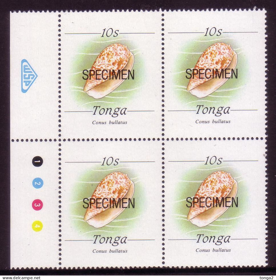 Tonga 1987 10s Shell Block Of 4 Specimen - Scarce (no Date At Bottom) - Coquillages