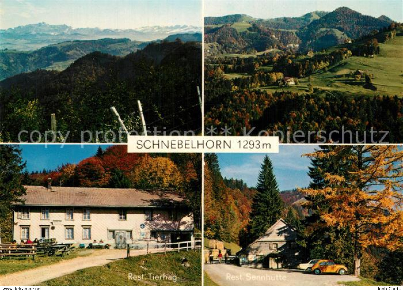 13313154 Fischenthal Restaurant Tierhag Sennhuette Fischenthal - Otros & Sin Clasificación