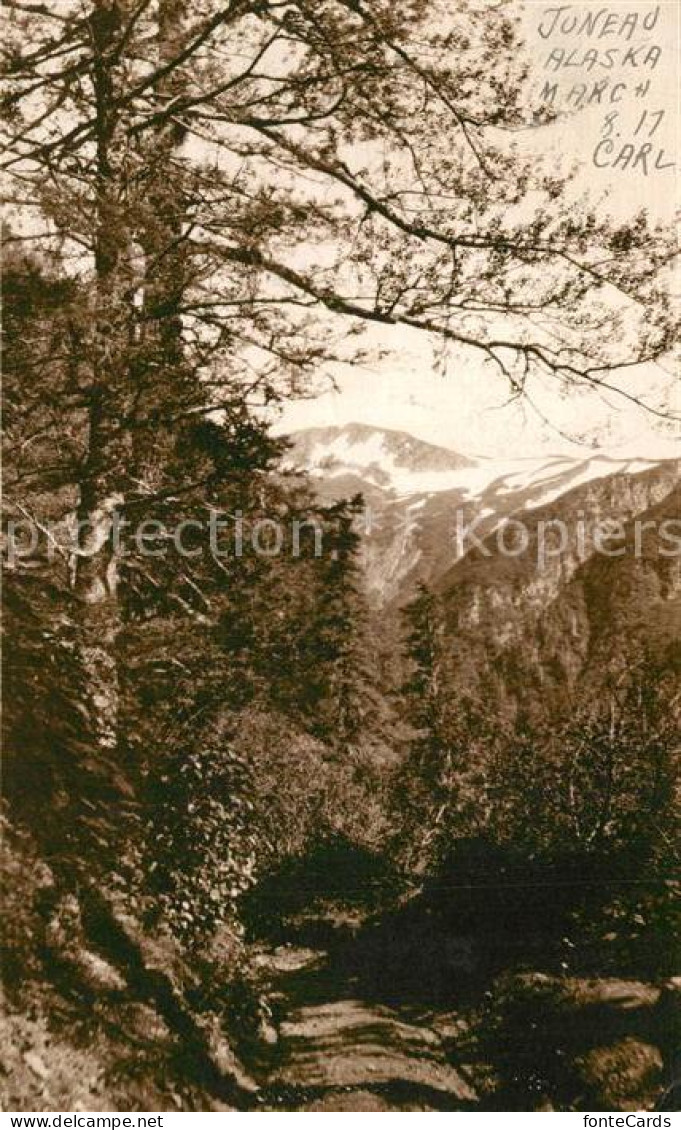 13310894 Juneau_Alaska Landschaftsbild - Sonstige & Ohne Zuordnung