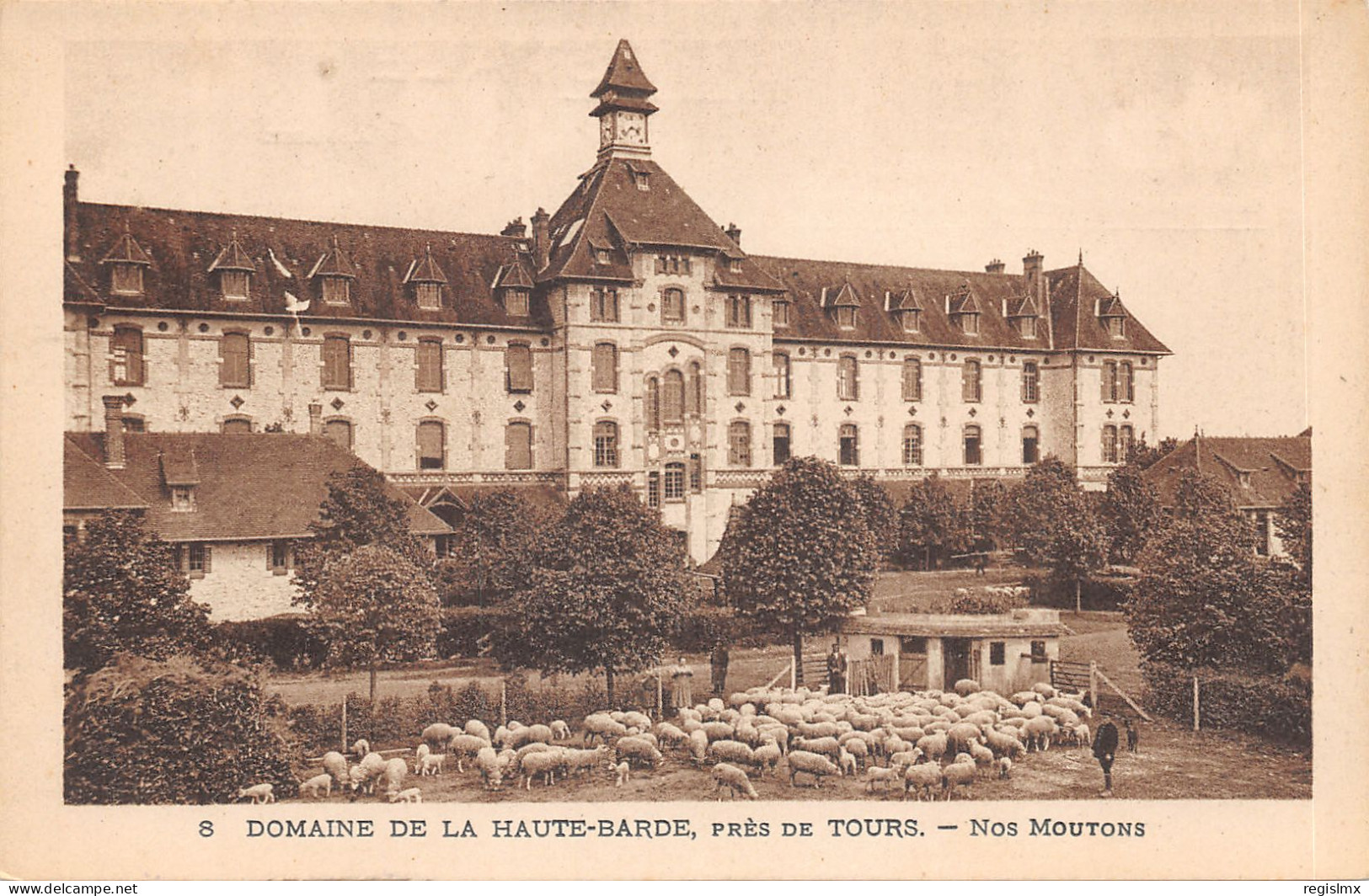 37-DOMAINE DE LA HAUTE BARDE-N°519-A/0317 - Autres & Non Classés