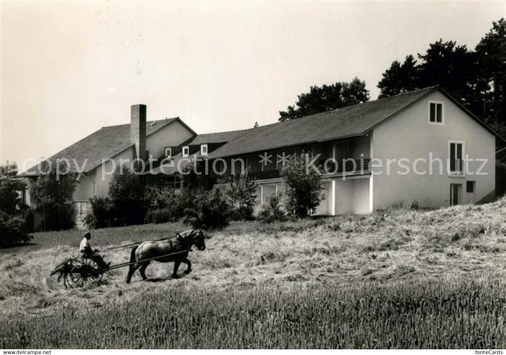 13309368 Seengen AG Ref Heimstaette Auf Dem Ruegel Seengen AG - Autres & Non Classés