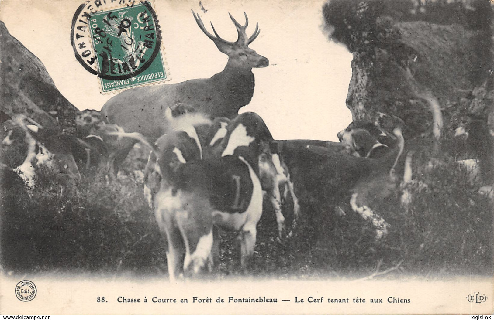 77-FONTAINEBLEAU-CHASSE A COURRE-N°522-C/0229 - Fontainebleau