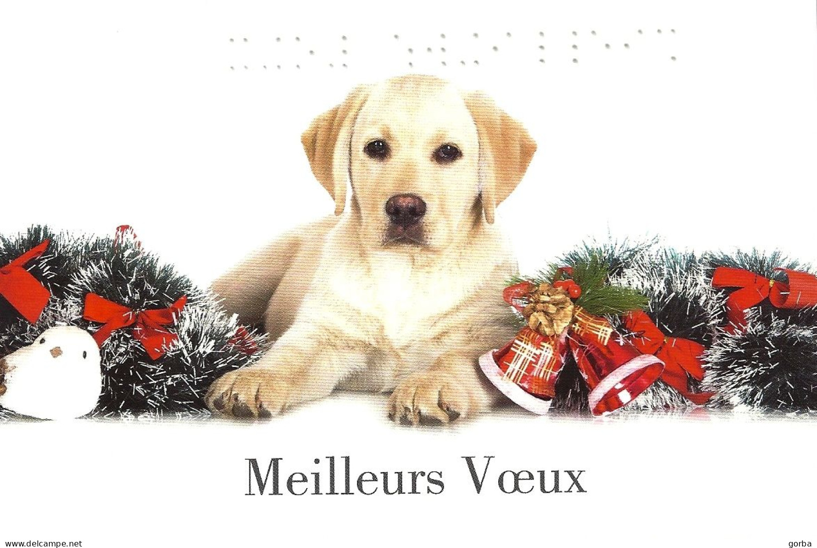 *Lot De 4 CPM - Carte De Vœux - éditée Par "UNADeV" - Meilleurs Voeux En Braille - New Year