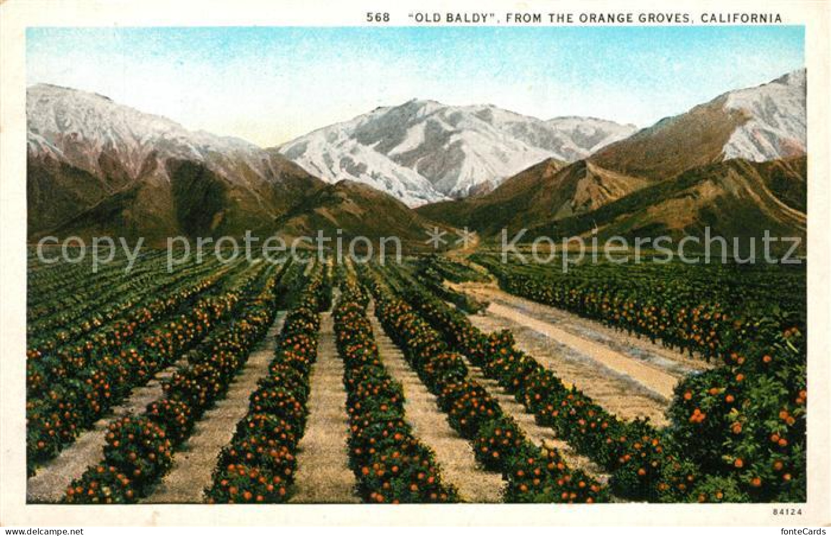 13307921 California_US-State Old Baldy From The Orange Groves - Other & Unclassified