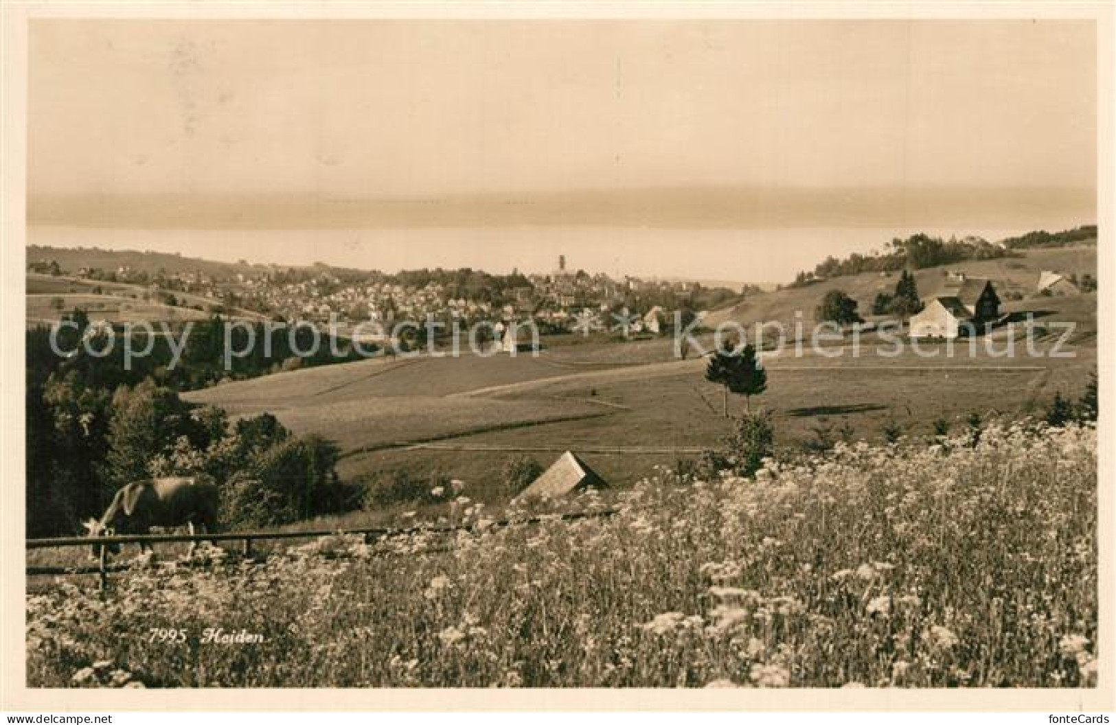 13307774 Heiden AR Panorama Blick Zum Bodensee Heiden AR - Other & Unclassified