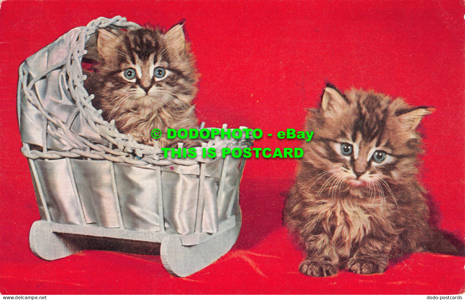 R522366 Greeting Card. Two Kittens. J. Salmon. 1957 - Monde