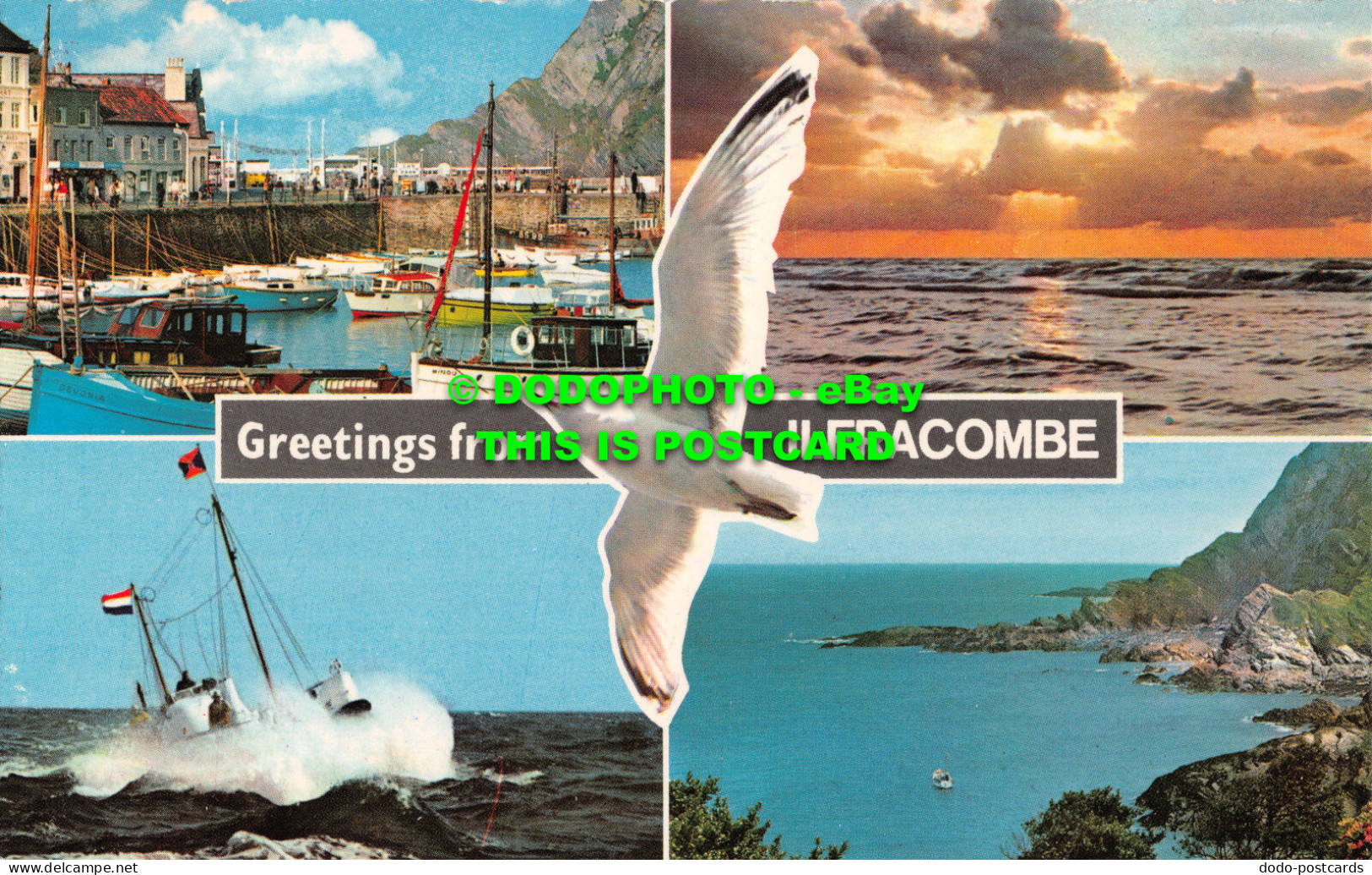 R522165 Greetings From Ilfracombe. D. Constance. Multi View. 1970 - Welt