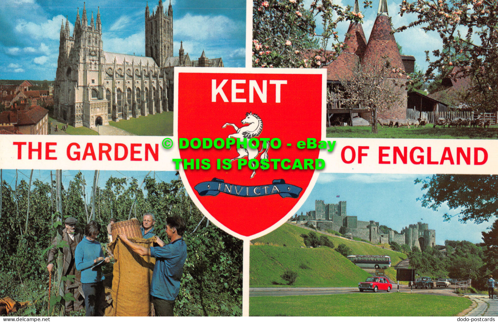 R522184 Kent. The Garden Of England. Springtime. Dover Castle. D. V. Bennett. Mu - Monde