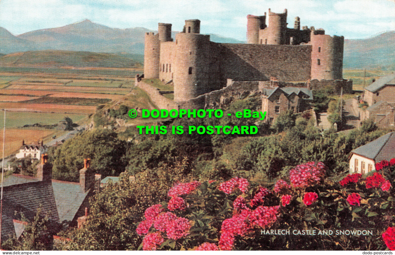 R522388 Harlech Castle And Snowdon. J. Salmon. Cameracolour - Welt