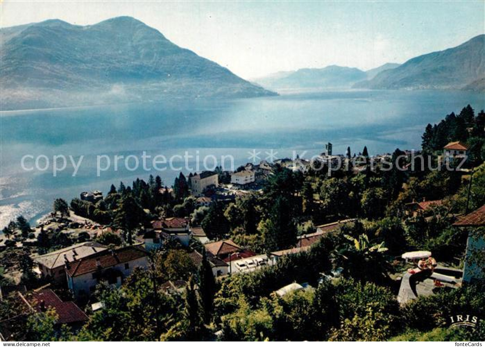 13305791 Brissago Lago Maggiore Panorama Brissago Lago Maggiore - Autres & Non Classés