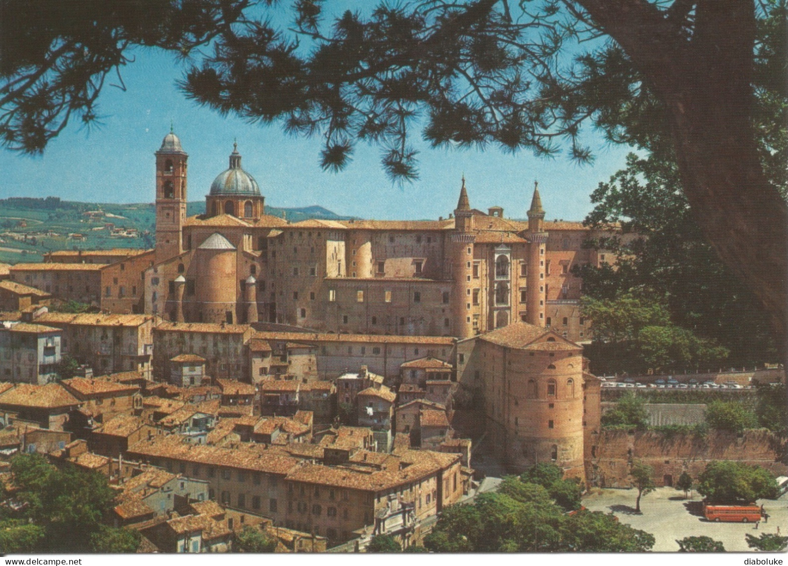 (PU) URBINO, PANORAMA - Cartolina Nuova - Urbino