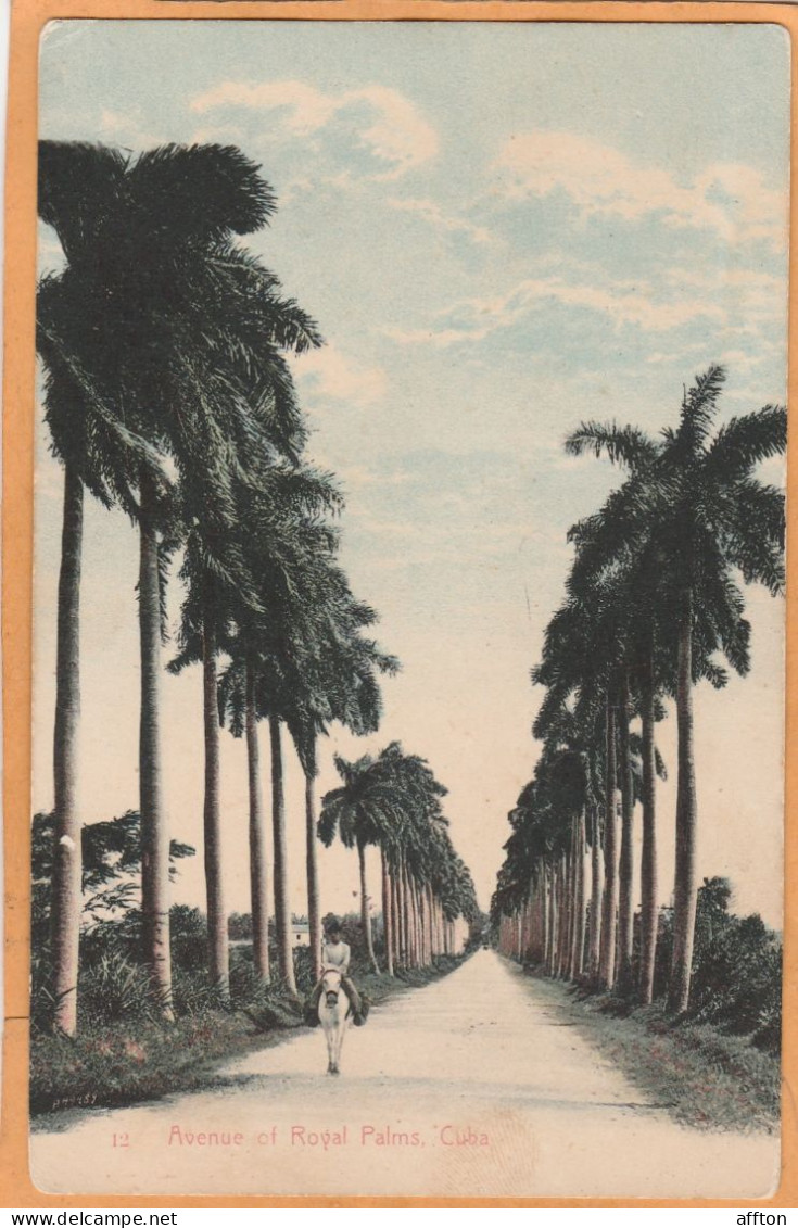 Havana Cuba 1905 Postcard - Kuba