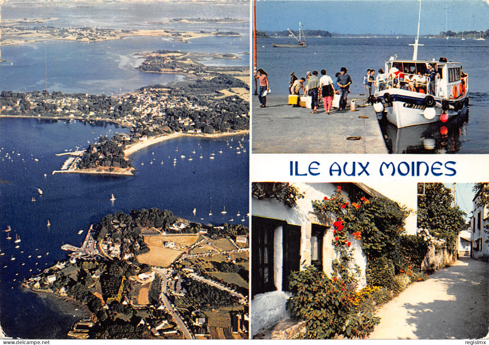 56-ILE AUX MOINES-N°531-A/0353 - Ile Aux Moines