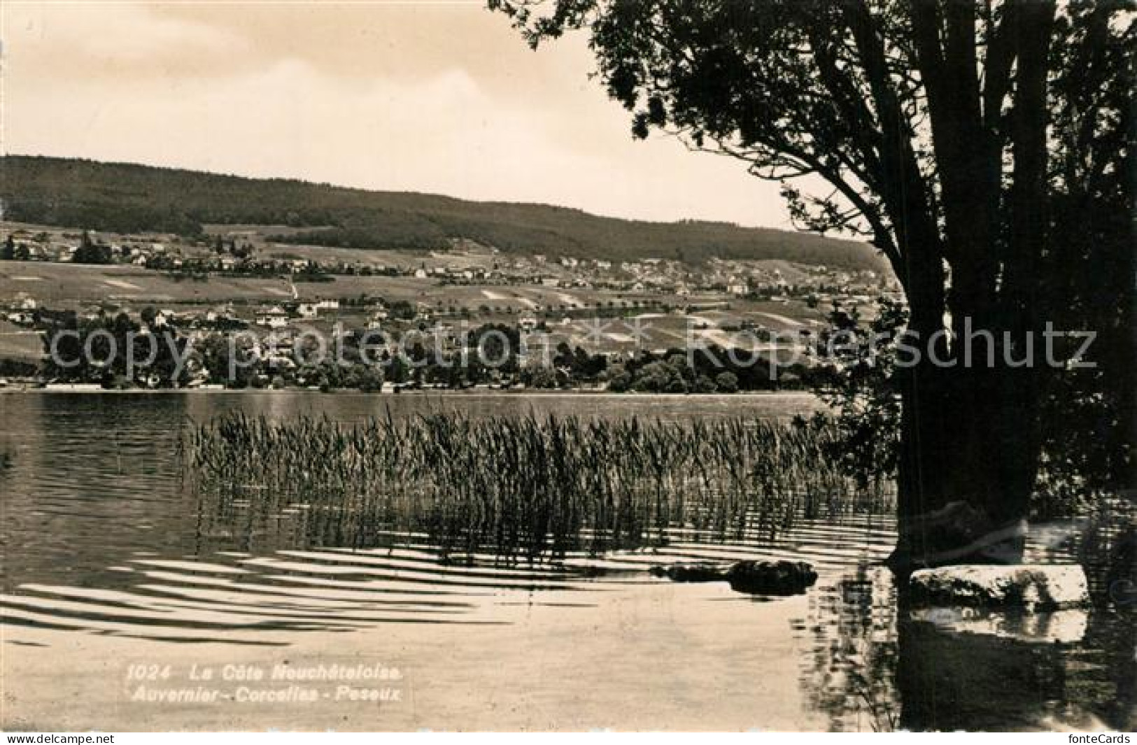 13303213 Neuchatel NE Lac De Neuchatel Avec Auvernier Corcelles Et Peseux Neucha - Andere & Zonder Classificatie