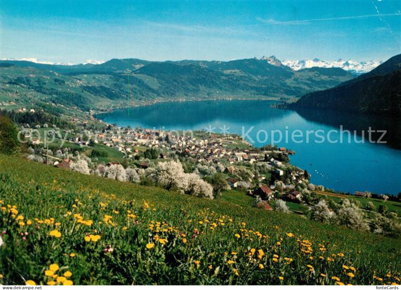 13302514 Oberaegeri Landschaftspanorama Aegerisee Hochalpen Oberaegeri - Altri & Non Classificati