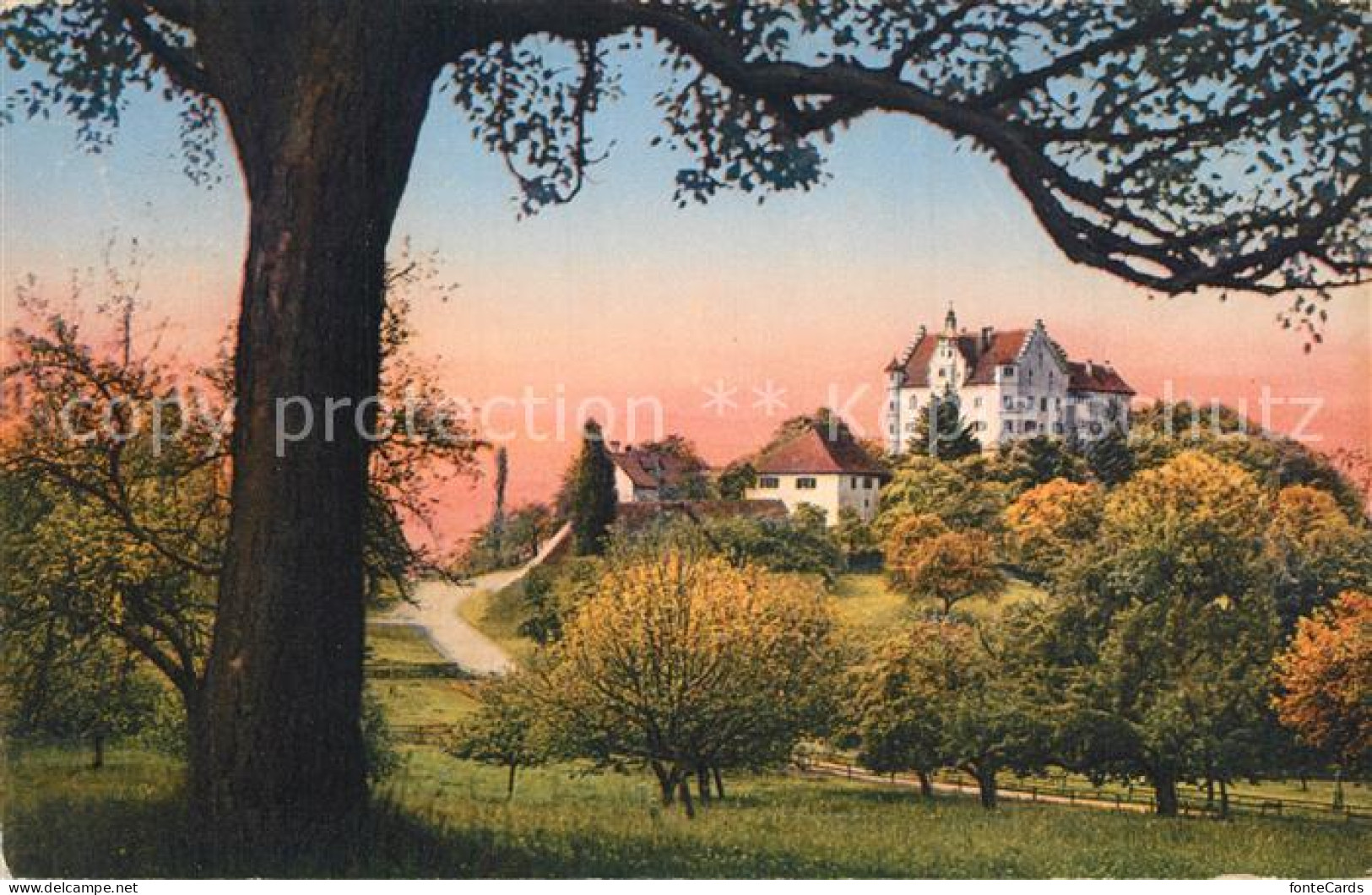 13301881 Stettfurt Schloss Sonnenberg Stettfurt - Sonstige & Ohne Zuordnung